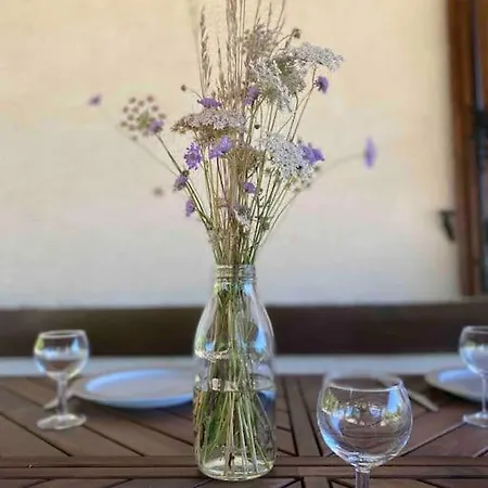 Vakantiehuis Peaceful With Stunning Pool Near Market Town Montaigu-de-Quercy