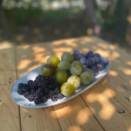 Casa de Férias Peaceful With Stunning Pool Near Market Town *